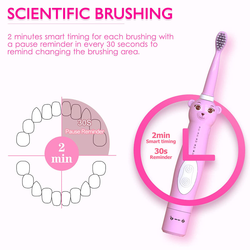 CHAIN PEAK Kids Sonic Electric Toothbrush, Cute Bear Rechargeable Toothbrush for Children, Boys Girls Age 3-12 with 30s Reminder, 2 Min Timer, 5 Modes, 8 Brush Heads, Bear Toothbrush Pink+8 Heads - NewNest Australia