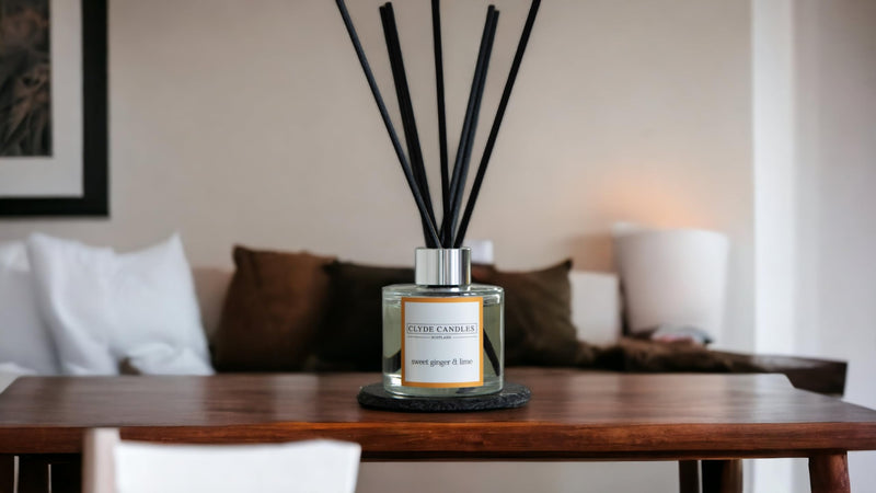 Clyde Candles Sweet Ginger & Lime Reed Diffuser, Luxury Diffuser Oil with a Set of 7 Fibre Sticks, Best Aroma Scent for Home, Kitchen, Living Room, Bathroom. Fragrance Diffusers set with sticks - NewNest Australia