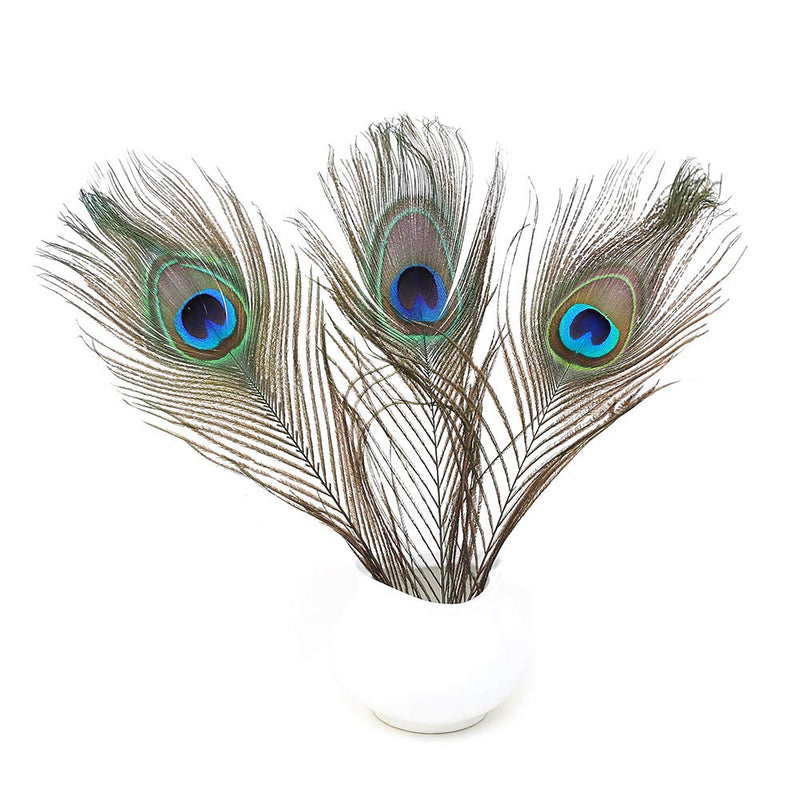 12 PCS Real Natural Peacock Eye Feathers 10-12 inch for DIY Craft, Wedding and Holiday Decorations 12 - NewNest Australia