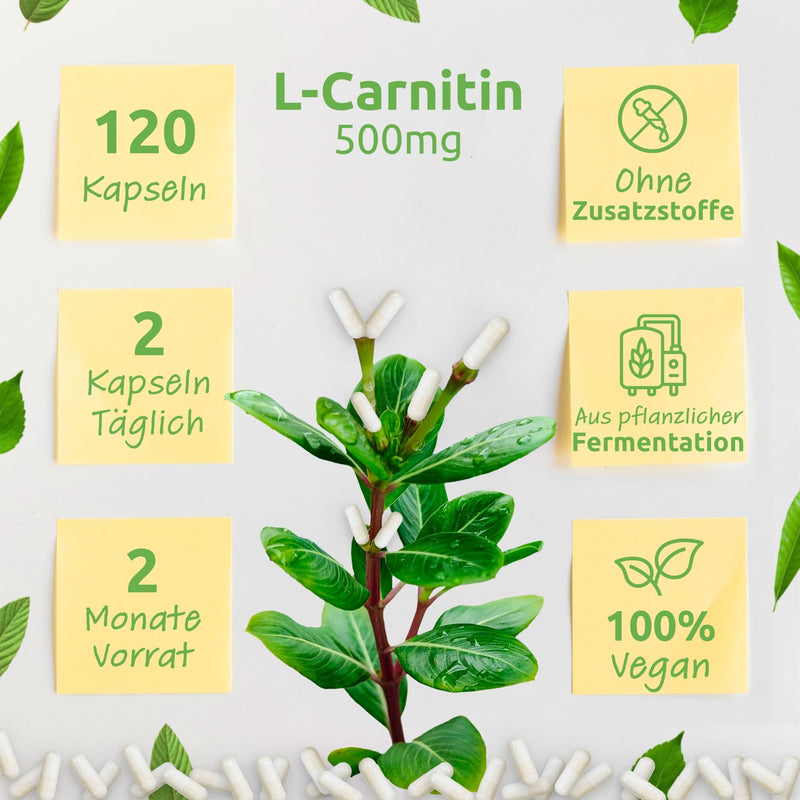 BIO Protect Premium L-Carnitine 500mg - 120 capsules - High dosage - No additives - Laboratory tested - High dosage - Vegan - Bio Protect - NewNest Australia