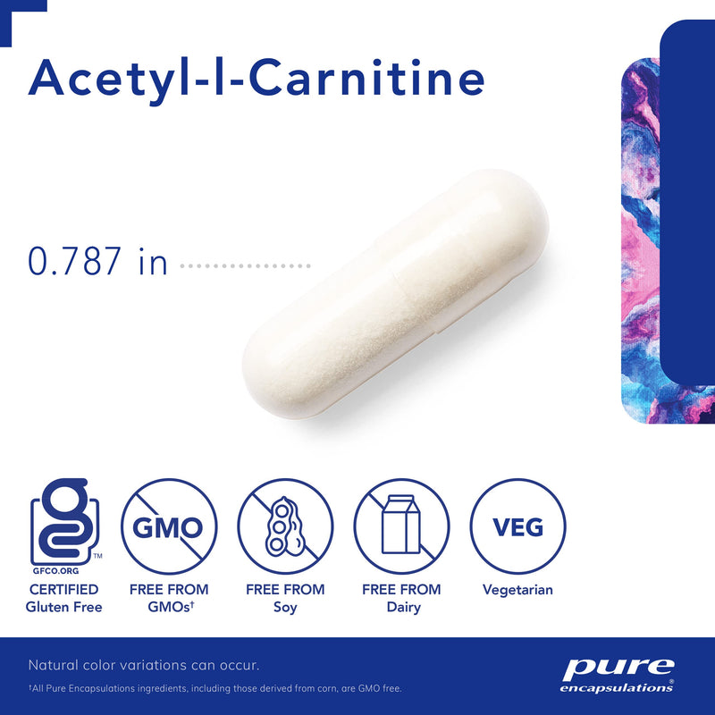 Pure Encapsulations Acetyl-l-Carnitine 250 mg | Memory Supplement for Brain, Focus, and Calmness* | 60 Capsules - NewNest Australia