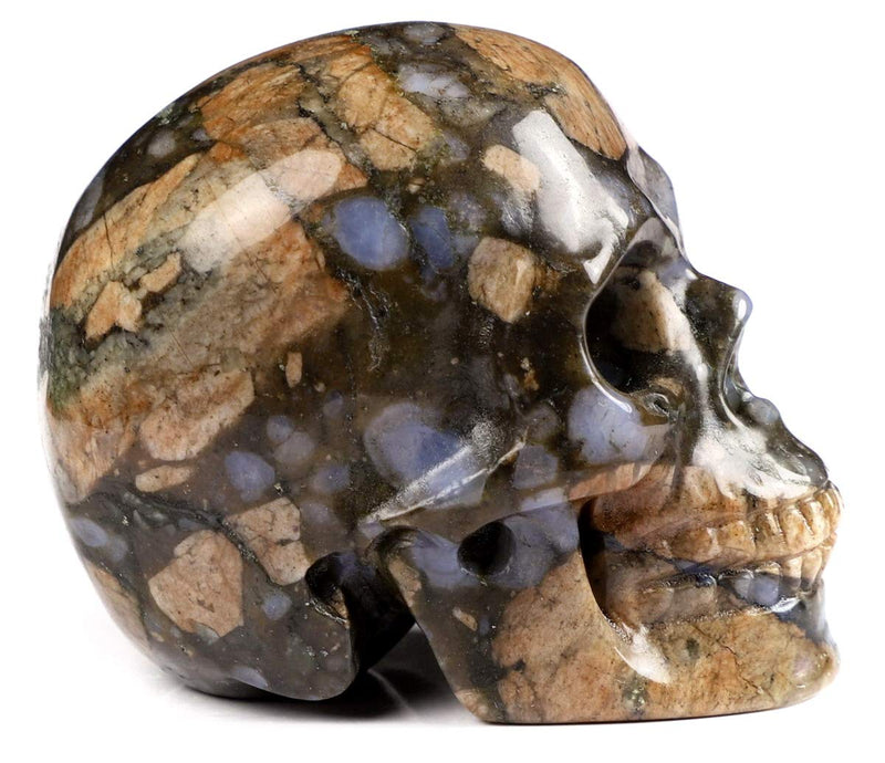 NewNest Australia - Skullis 2.0” Que Sera Stone Crystal Skull, Hand Carved Gemstone Fine Art Sculpture, Reiki Healing Stone Statue. 