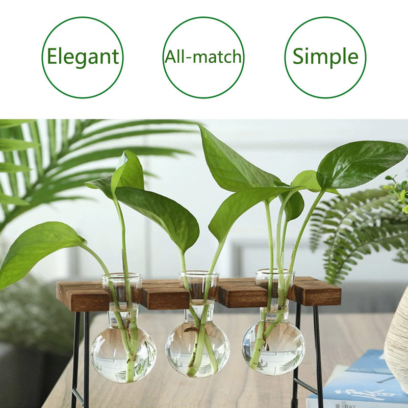 KEANVIK Desktop Ornaments Glass Plant Terrarium, Plant Propagation Station with 3 Bulb Glass Vases for Hydroponics Plants Home Office Garden Decoration - NewNest Australia