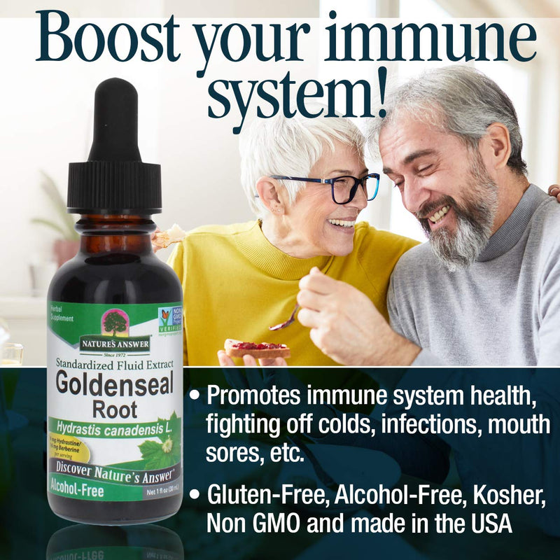 Nature's Answer Goldenseal Root | Herbal Supplement | Supports A Healthy Immune System | Gluten-Free & Alcohol-Free 1oz 1 Fl Oz (Pack of 1) - NewNest Australia