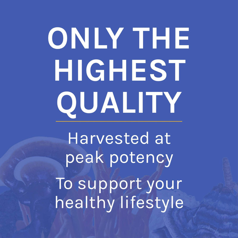 Host Defense, Stamets 7 Mushroom Powder, Daily Immune Support, Certified Organic Supplement - NewNest Australia