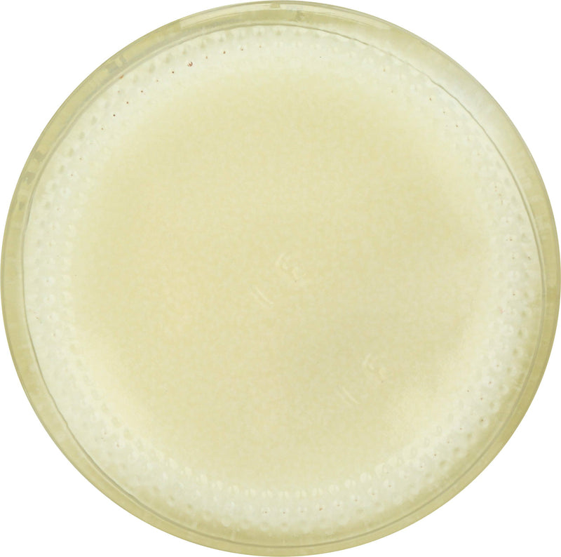 Tea Tree Therapy Antiseptic Ointment 2oz - NewNest Australia