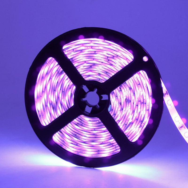 Super Bright 24 Watts UV Black Light LED Strip, 16.4FT/5M 3528 300LEDs 395nm-405nm Waterproof IP65 Blacklight Night Fishing implicitly Party with 12V 2A Power Supply 24w 196.8 Inch (Pack of 1) - NewNest Australia