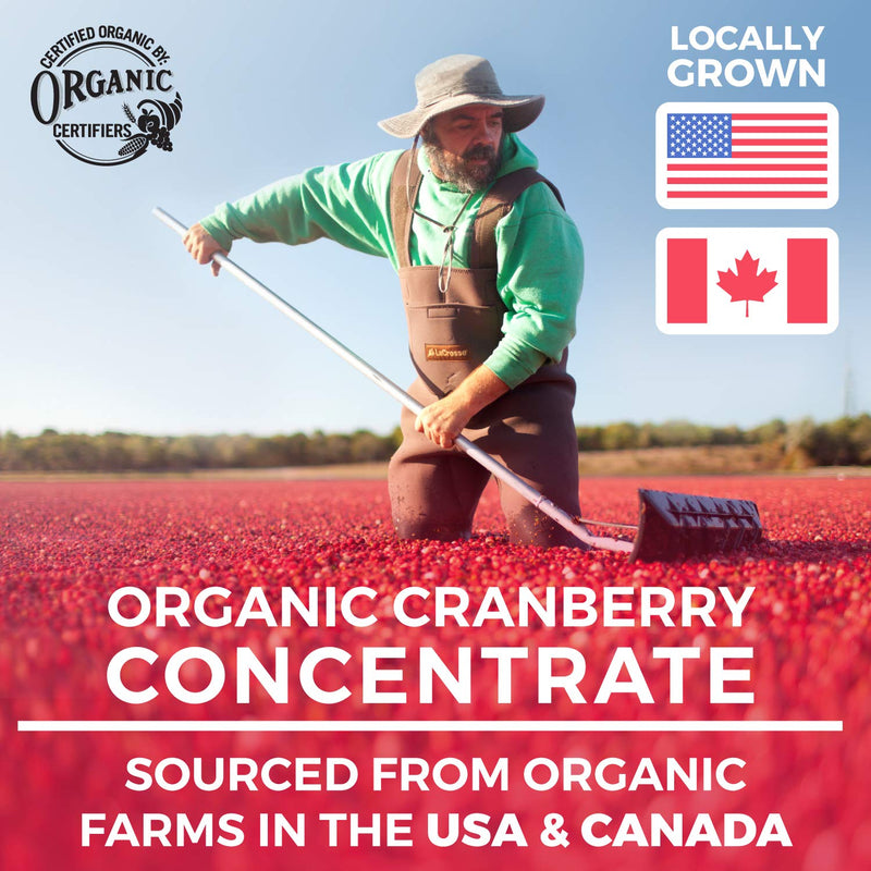 Organic Cranberry Pills - 50:1 Concentrate Equals 25,000mg of Fresh Cranberries (Vegan) for Kidney Cleanse & Urinary Tract Health - UTI Vitamins Support - Fruit Extract Supplement - 60 Capsules - NewNest Australia