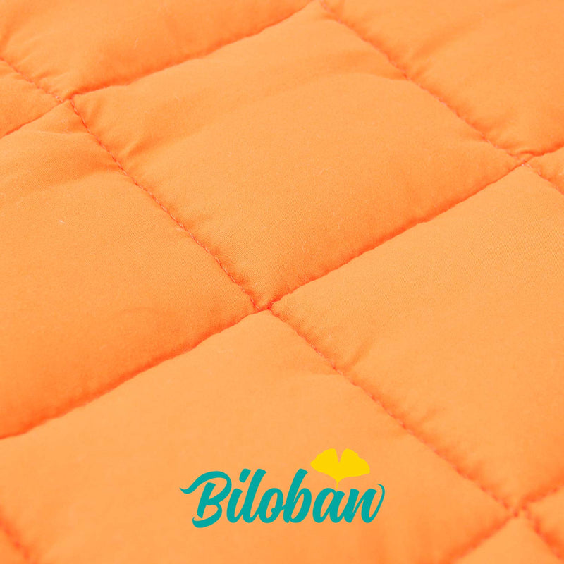 NewNest Australia - Biloban Toddler Nap Mat with Pillow and Blanket,50 x 21 x 1.5 Super Soft and Cozy, The Great Kids Nap Mat for Preschool, Roll up Bed for Boys and Girls. Pineapple Fish 