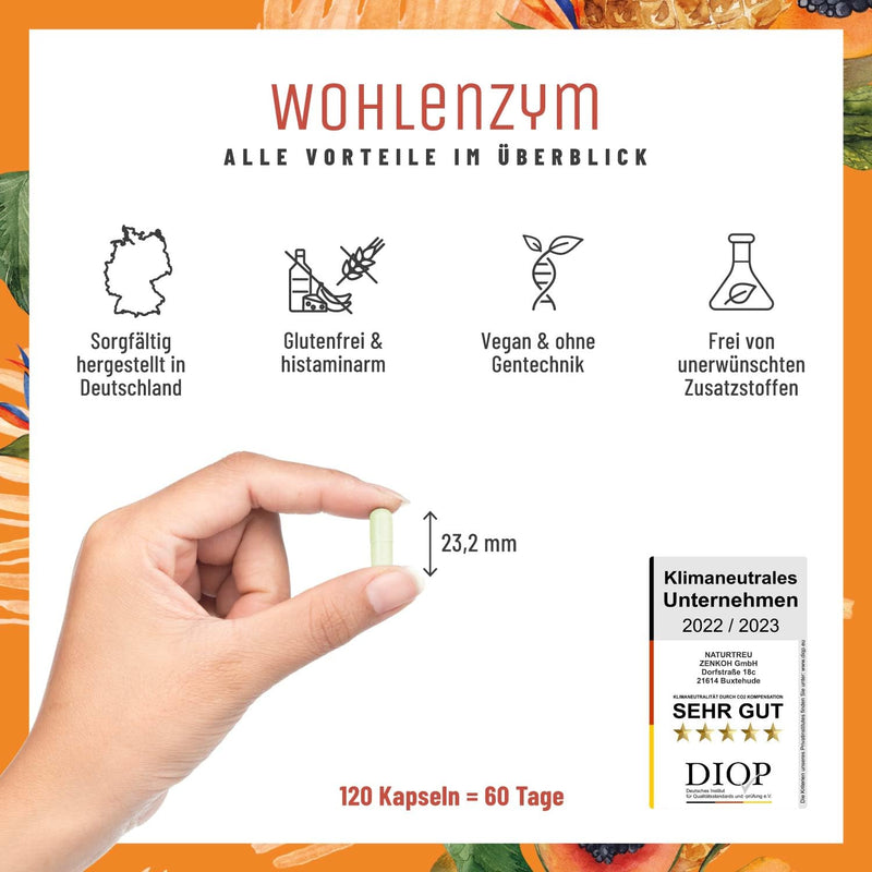 Welfenzyme Enzyme Complex With 800 Mg Bromelain (5000 Fip), Papain, Rutin, Pineapple & Papaya Enzyme Vegan, Immune System, Support, 120 Capsules Gastric Juice-Resistant Naturtreu - NewNest Australia