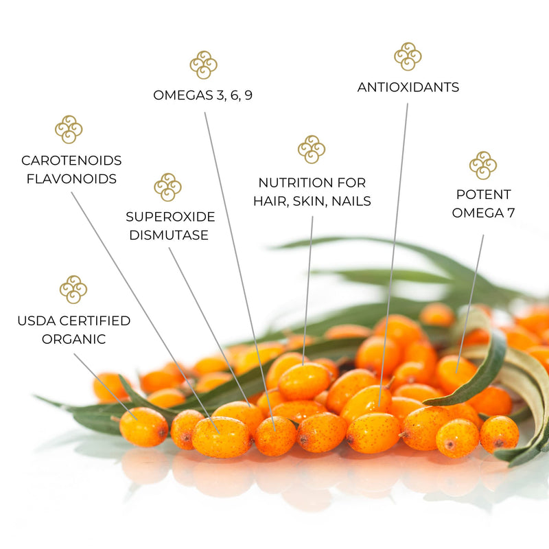 SIBU Omega-7 Softgels, Pure Organic Himalayan Sea Buckthorn, Max Potency, 60ct 60 Count (Pack of 1) - NewNest Australia