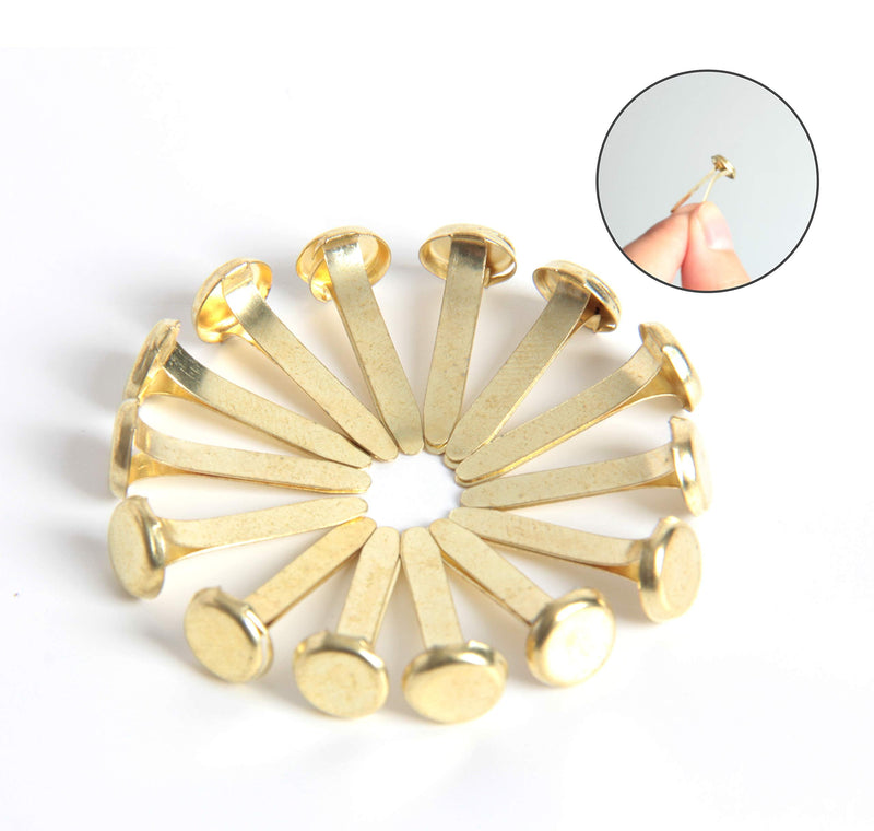 Hapy Shop Paper Fasteners,Medium 3/4-Inch Brass Plated Scrapbooking Brads Round Metal Brads for Crafts Making DIY,300 Pack - NewNest Australia