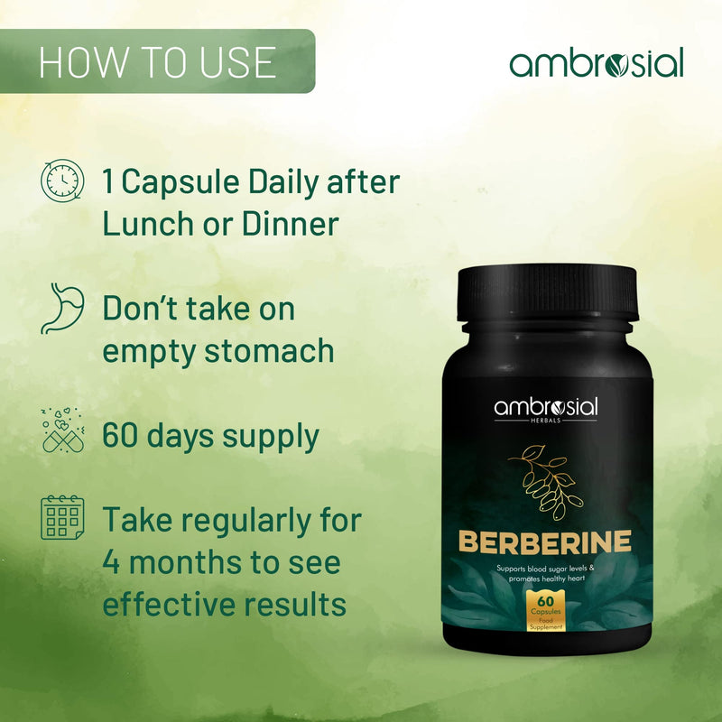 Ambrosial Berberine Hcl 500 Mg Per Capsule | High Strength Berberine Supplement For Healthy Heart Functions | Supports Healthy Blood Sugar Levels (Pack Of 1-60 Capsules) 60 Pieces (Pack Of 1) - NewNest Australia