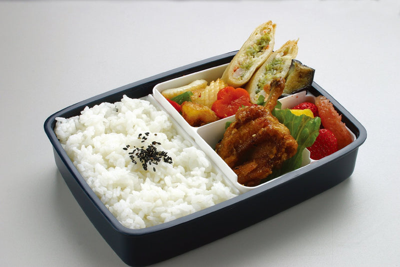 NewNest Australia - Skater Japanese Modern/Traditional Compartmental Bento Box, Chopsticks, 870 ml 