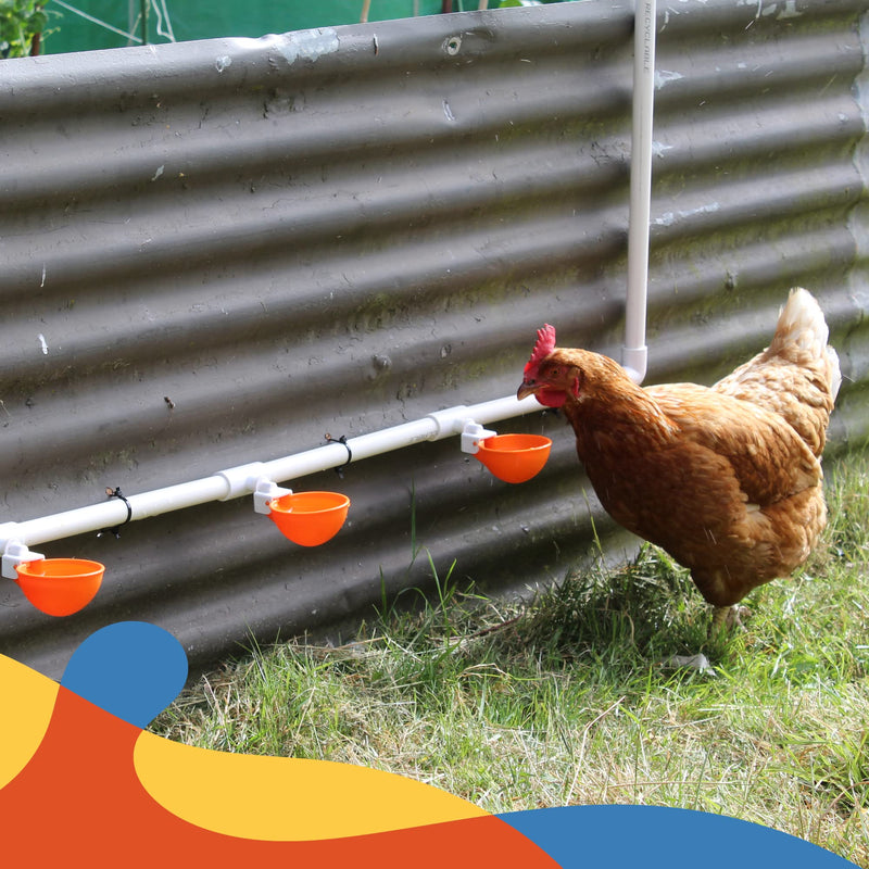 Lil'Clucker 5pc Large Automatic Chicken Waterer Cups with 1/2" PVC Tee Fittings - Chicken Water Cups, Chicken Water Feeder, for Chicks, Duck, Goose, Turkey - Poultry Waterer Feeder Kit - (Orange) - NewNest Australia