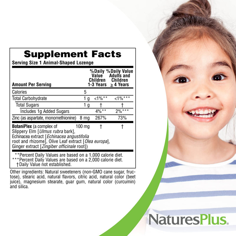 NaturesPlus Animal Parade Source of Life KidZinc Lozenges - Tangerine Flavor - 90 Animal Shaped Tablets - Chelated Zinc Immune Support Supplement - Vegetarian, Gluten-Free - 90 Servings 90 Count (Pack of 1) - NewNest Australia