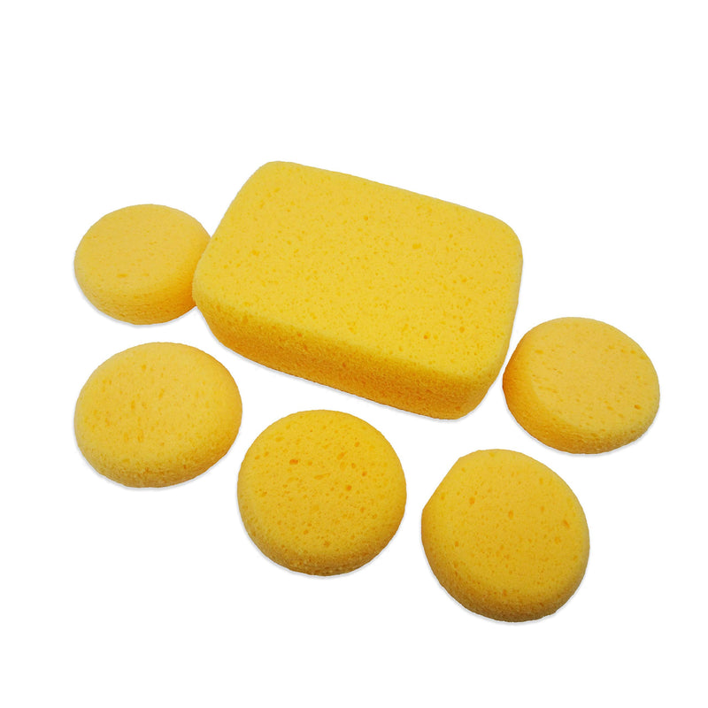 Premium Synthetic Art Crafts Sponges - 6pc Value Pack for Painting, Artists, Pottery, Face Paint, Crafts & Hobbies by Lullingworth® - NewNest Australia