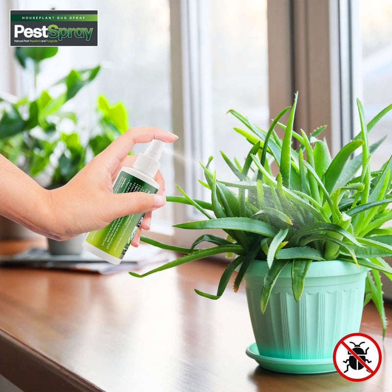 EFA International Houseplant Bug Spray, PestSpray, Natural Pest Repellent & Fungicide, Plant Spray, Bug Control Repellent, Peppermint Oil Spray, Indoor Plants, 150ml Spray Bottle - NewNest Australia