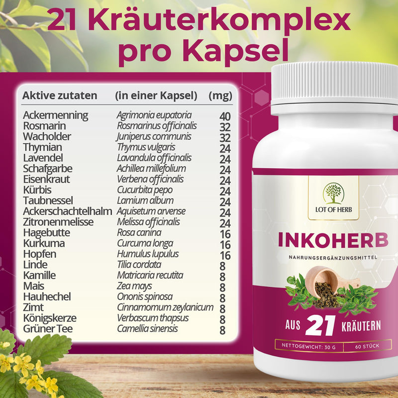 Lot Of Herb Inkoherb Of 21 Herbs For Natural Strengthening Of The Bladder Function - Can Support Incontinence Bladder Weakness Urination - Dietary Supplement For Men And Women - Pack Of 60 - NewNest Australia