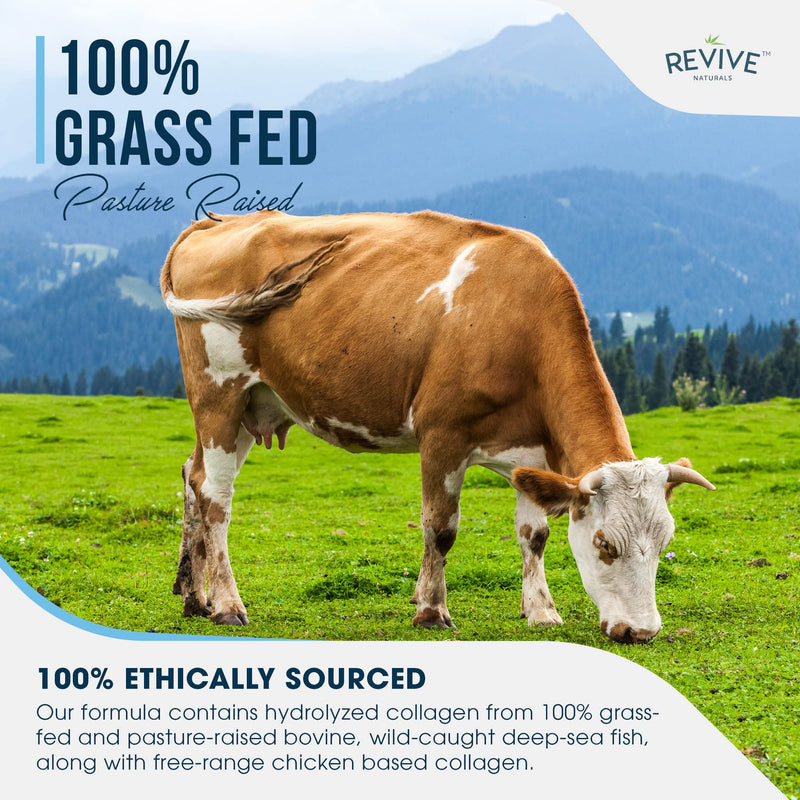 Revive Naturals Multicollagen Protein Powder - Types I, Ii, Iii, V & X - Hydrolysed Grass Feed Beef, Wild Caught Fish And Free-Range Chicken, Flavorless, Halal - (400 G), Powder - NewNest Australia