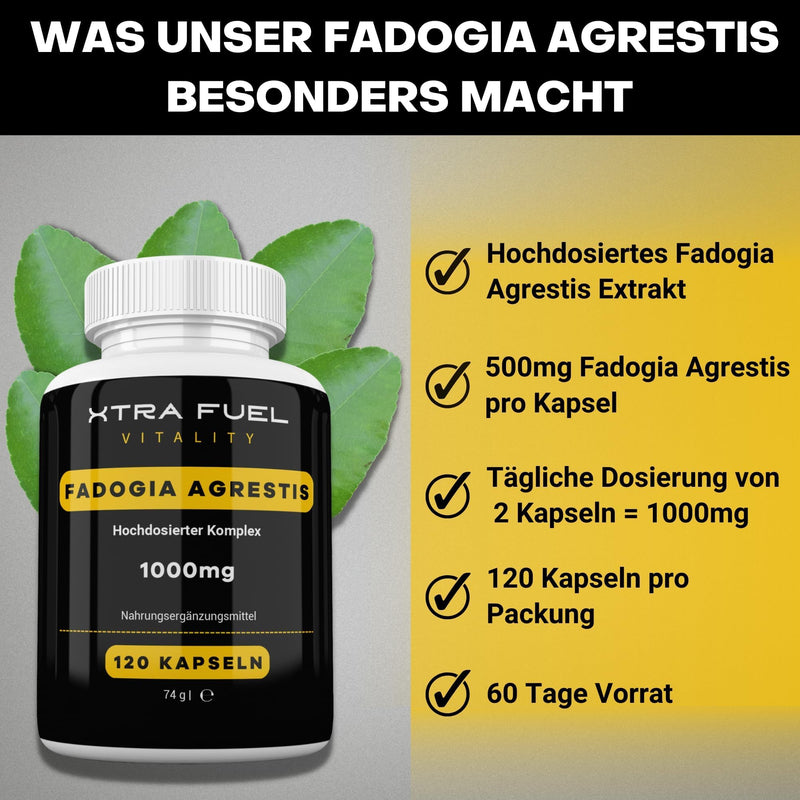 Fadogia Agrestis | 1000mg daily dose | 120 capsules (high dosage) | Natural Fadogia Agrestis Extract (10:1 Formula) | Popular with athletes and active people | Vegan and laboratory tested - NewNest Australia