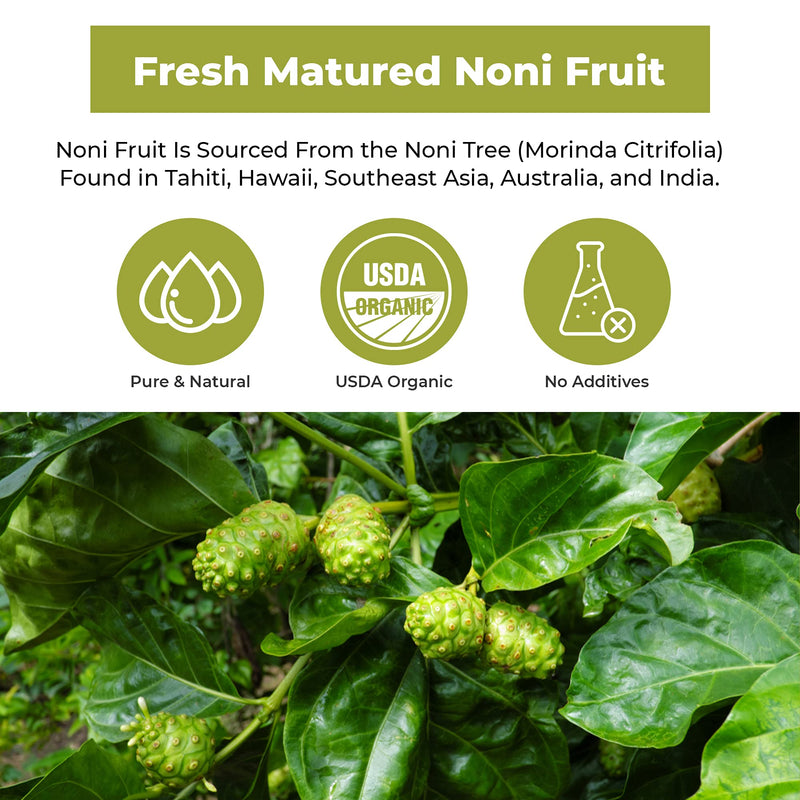Aclivia Noni Fruit Capsules – Immune Support Supplement, Antioxidant Superfood Energy Booster, Promotes Healthier Skin, Hair & Nails, Joints & Brain Support, 4000mg Morinda citrifolia Extract Capsules - NewNest Australia