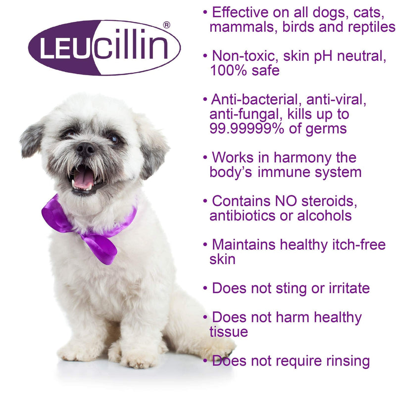 Leucillin Natural Antiseptic Spray | Antibacterial, Antifungal & Antiviral | for Dogs, Cats and All Animals | for Itchy Skin, Minor-wound Care and All Skin Care Health | 250ml - NewNest Australia
