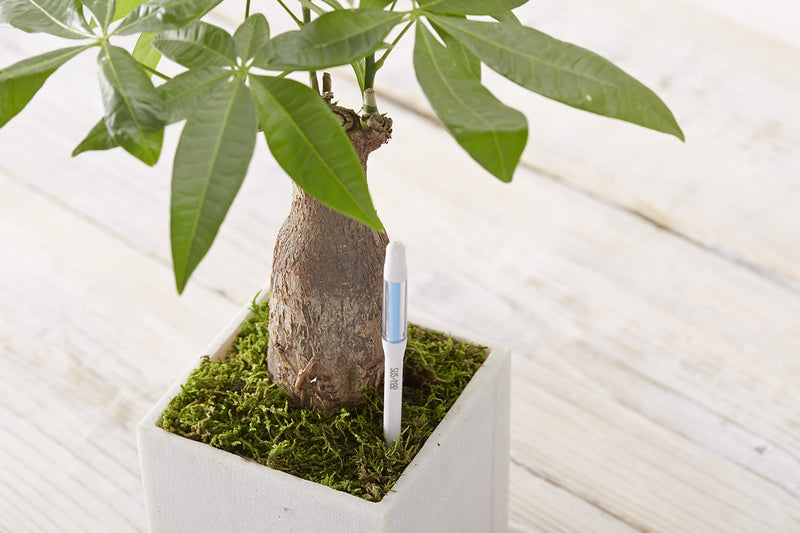 Sustee Aquameter, Green, Small - Plant Soil Moisture Sensor - Best for Potted Plants (Refillable Style) - NewNest Australia