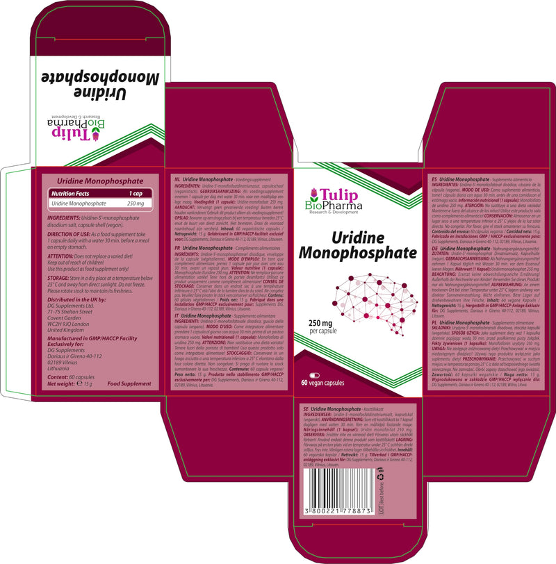 Uridine Monophosphate 250mg 60 Capsules, Laboratory Tested, Nootropic - NewNest Australia
