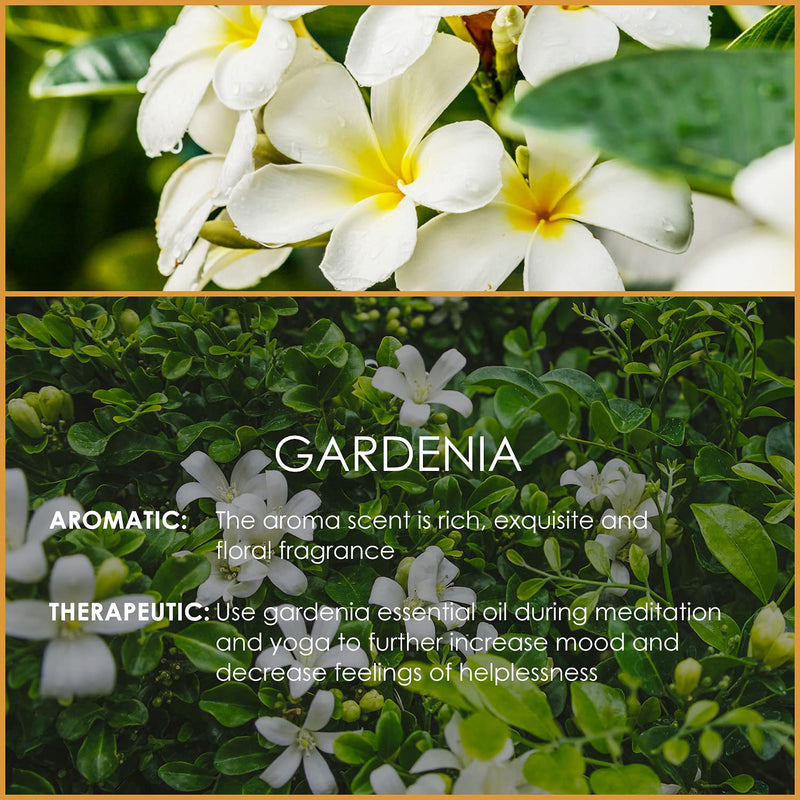 Salking Gardenia Oil 120 Ml, Natural Gardenia Essential Oil For Aroma Diffuser, Natural Fragrance Oil For Oil Burners, Humidifier, Massage, Soap, Candle Making, Gifts For Women - NewNest Australia