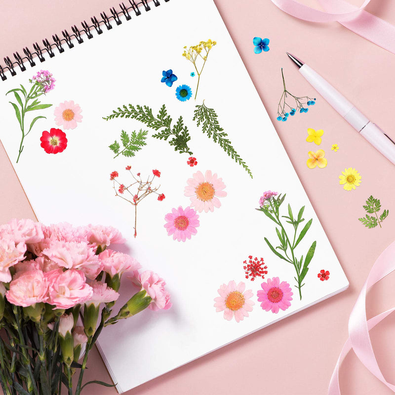 Pressed Flowers Resin Flowers for Resin Mold, Real Daisy Dried Flower Leaves Natural with Tweezers for Scrapbooking DIY Candle Accessories Jewelry Crafts Making (Colorful Style) Blue, Red, Yellow, Green - NewNest Australia