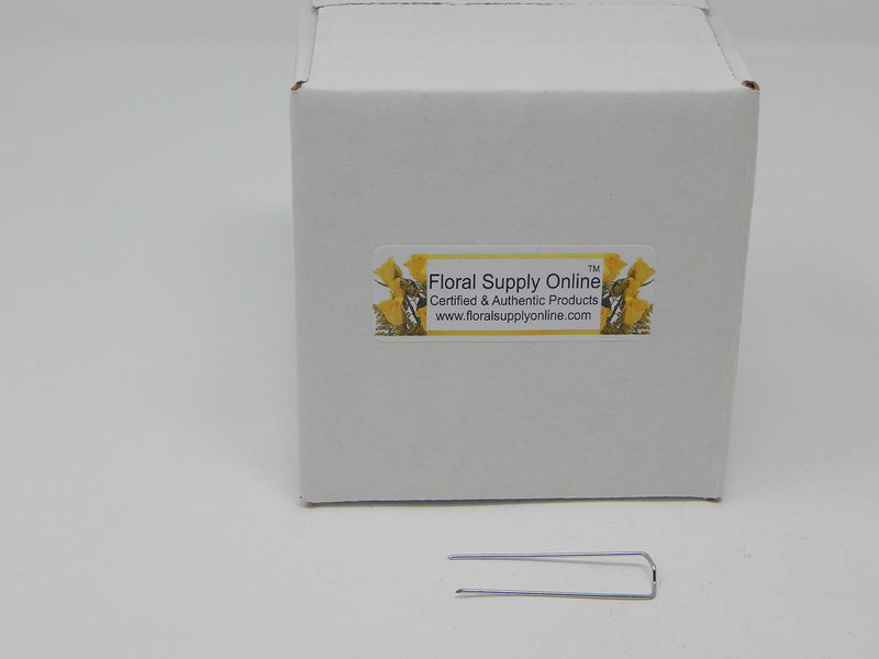 2 Inch Greening Pins (350 Pins) - Floral Fern Pins for Straw Wreaths, Holiday Arrangements, Craft Projects. Bulk Buy Quantities Available for Wholesale Prices. 350 Pins - NewNest Australia