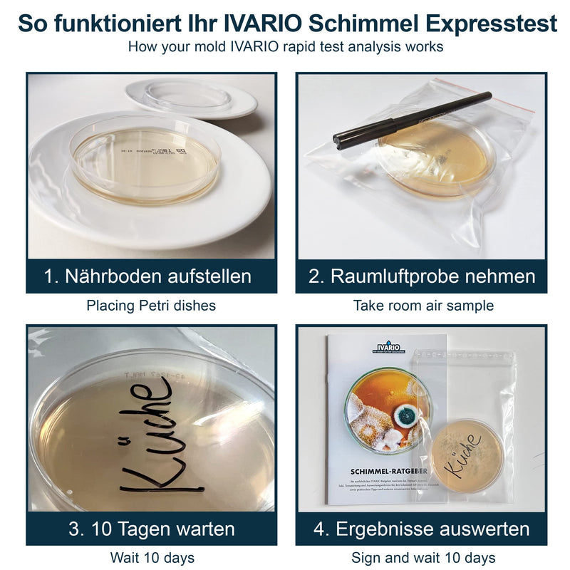 Mold Test - Express Test For Home: The Mold Quick Test - Includes Easy-To-Follow Instructions, Evaluation Chart And Mold Guide - Test Your Room Air For Mold Traces - NewNest Australia