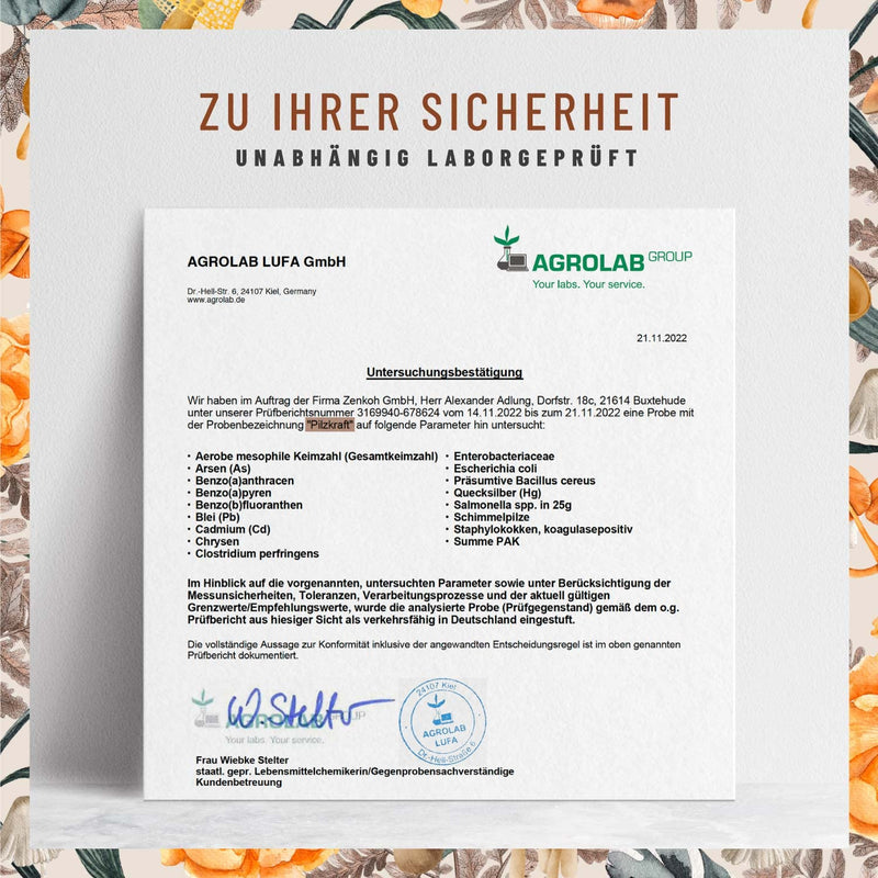 Naturtreu Pilzkraft 120 Capsules Mushroom Complex High Dose With Hericium Erinaceus (Lions Mane) Extract, Chaga, Reishi Extract, Shiitake Extract, Beta Glucan, Vitamin B2, B5 & B6 - NewNest Australia
