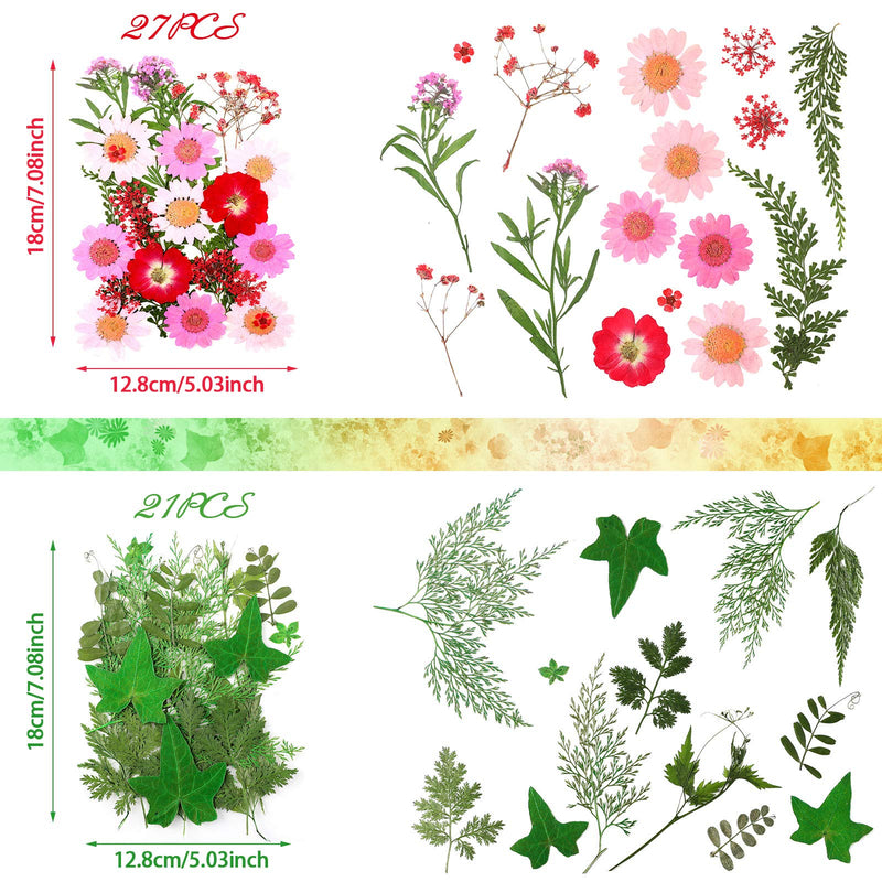 Pressed Flowers Resin Flowers for Resin Mold, Real Daisy Dried Flower Leaves Natural with Tweezers for Scrapbooking DIY Candle Accessories Jewelry Crafts Making (Colorful Style) Blue, Red, Yellow, Green - NewNest Australia