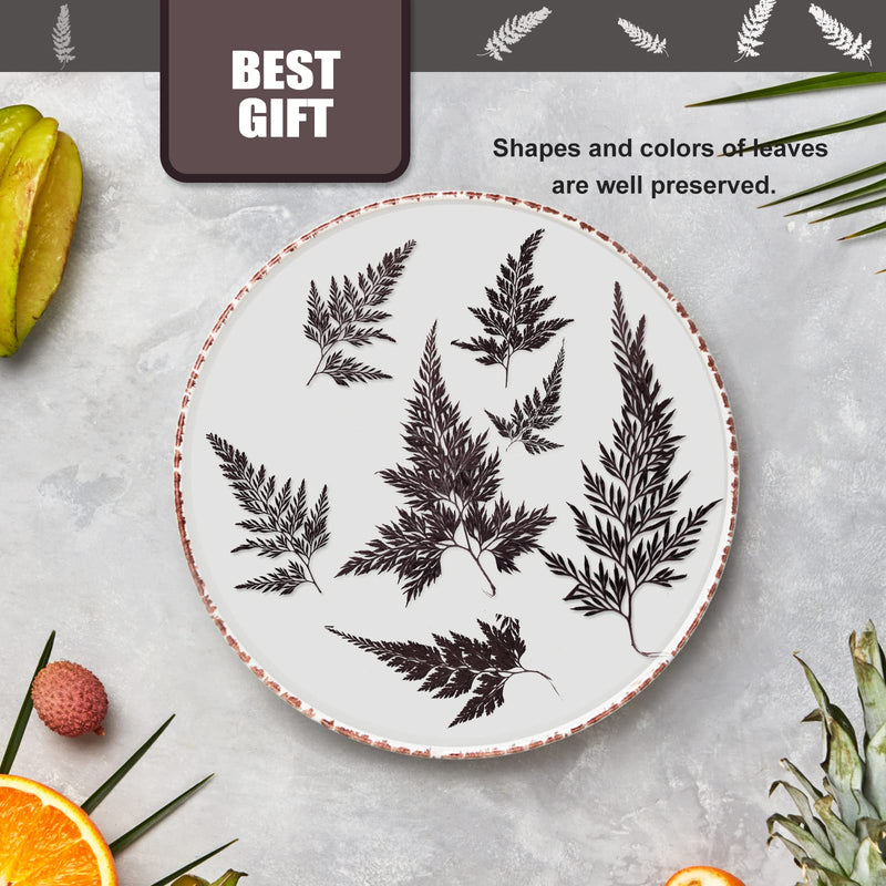 ALJ 42 PCS Pressed Ferns Leaves, Natural Purple Dried Ferns Leaves Plant Pressed Leaf for Resin Art DIY Craft Embellishment Decors, Craft Jewelry Card and Making DIY Scrapbooking - NewNest Australia