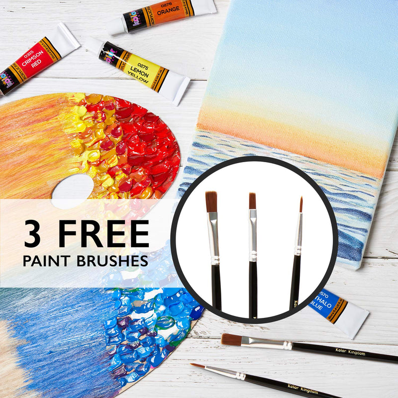 Acrylic Paint Set Color Paint Kit For Artists & Beginners Craft Paints for Paper,Canvas,Rock Painting,Wood,Ceramic & Fabric Vibrant -Non-Toxic including 3 paint brushes (24 set) 24 set - NewNest Australia