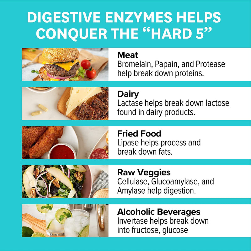 Zenwise Health Digestive Enzymes, Plus Prebiotics & Probiotics Supplement, Travel Size, Daily Digestion + Immune Support, for Occasional Gas, Gut Bloating & Irregularity (30 Count Tin) 30 Count Tin - NewNest Australia