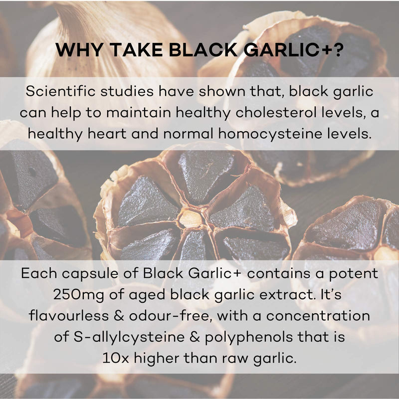 Black Garlic+ 250mg Odourless Vegan Suitable Supplement - High Strength Native Black Garlic (Allium sativum) Extract - 28 Day Supply - Developed by FutureYou Cambridge, UK - NewNest Australia