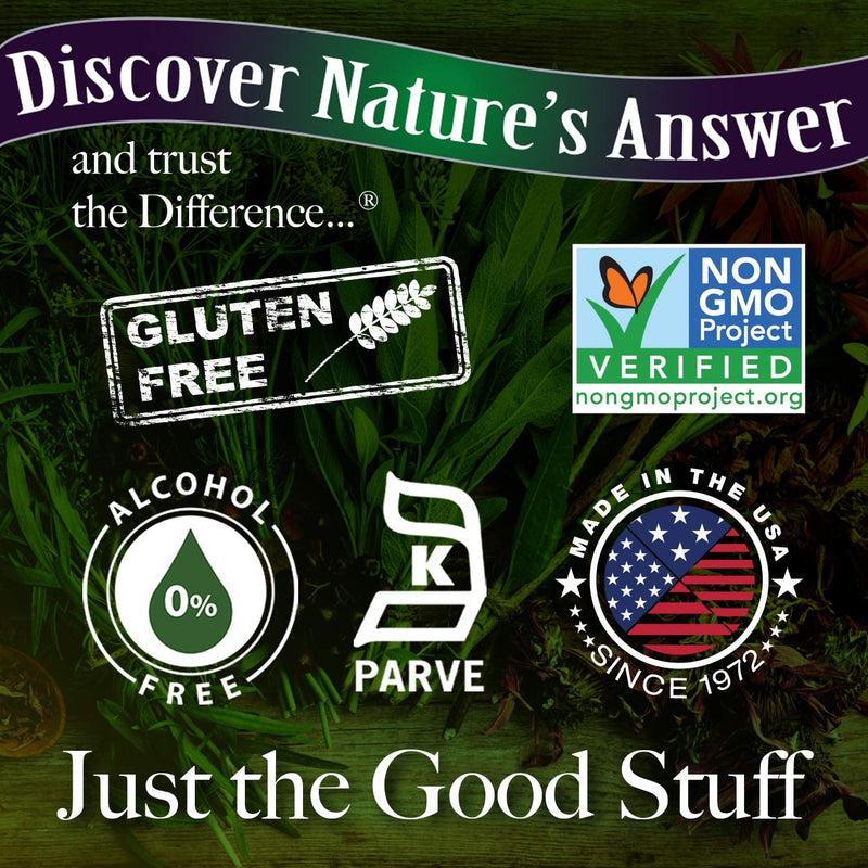 Nature's Answer Astragalus Root | Promotes Overall Health & Wellbeing | Super Concentrated 2000mg | Alcohol-Free, Gluten-Free, Kosher Certified & No Preservatives 1oz 1 Fl Oz (Pack of 1) - NewNest Australia