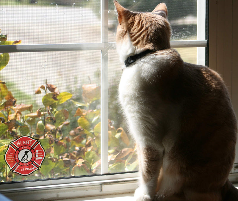 Clever Signs Pet Alert Sticker, Double-Sided 6,Rescue Pet Decals, Pet Alert Stickers for House Home Window Pet Door-Emergency Pet Kit, UV Resistant-Waterproof - NewNest Australia