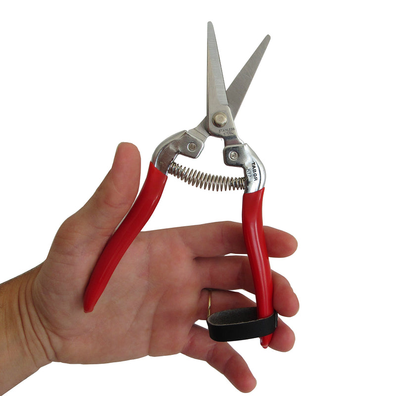 TABOR TOOLS Pruning Shears, Florist Scissors, Multi-Tasking Garden Snips for Arranging Flowers, Trimming Plants and Harvesting Herbs, Fruits or Vegetables. K17A. (Straight, Stainless Steel Blades) - NewNest Australia