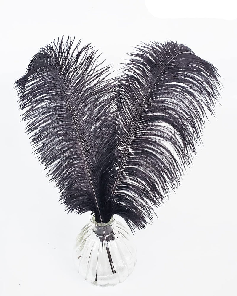 Happy Feather 16-18 inch Black Ostrich Feathers Crafts for Wedding Party Centerpieces Home Decoration DIY Craft Pack of 5 5pcs - NewNest Australia