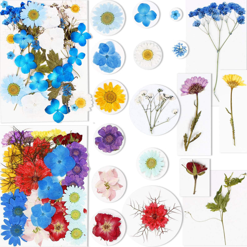 BIHRTC 100PCS Dried Pressed Leaf Flowers Natural Pressed Died Leaves Sunflowers Chrysanthemum Daisy Flowers Multiple Dry Flower for Craft Resin Jewelry Making Soap and Candle Making DIY Blue Purple - NewNest Australia