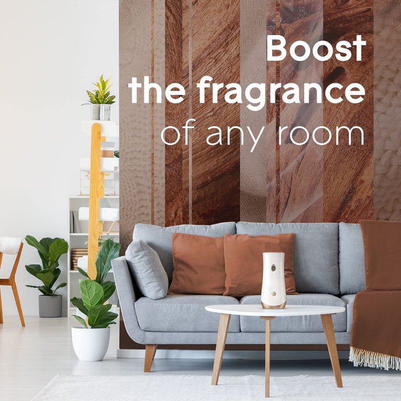 Glade Automatic Spray Refill, Air Freshener for Home and Bathroom, Cashmere Woods, 6.2 Oz, 2 Count - NewNest Australia