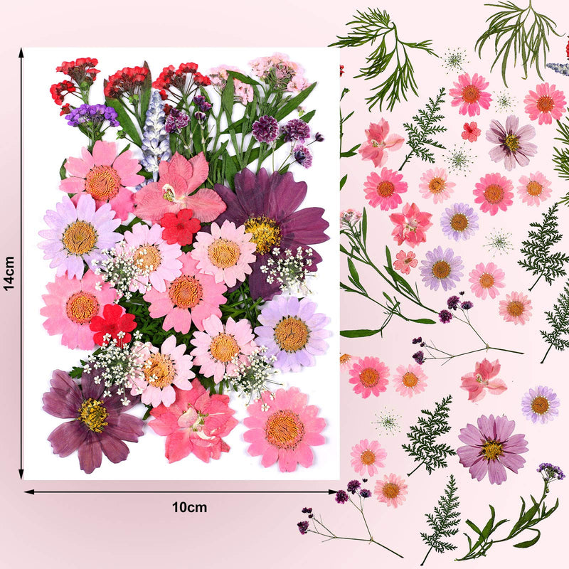 Dried Pressed Flower and Butterfly Transparent Sticker Set, Natural Real Dried Flower Butterfly Scrapbook Decal with Box and Curved Tweezers for DIY Decoration Resin Making (Bright Series) Bright Series - NewNest Australia