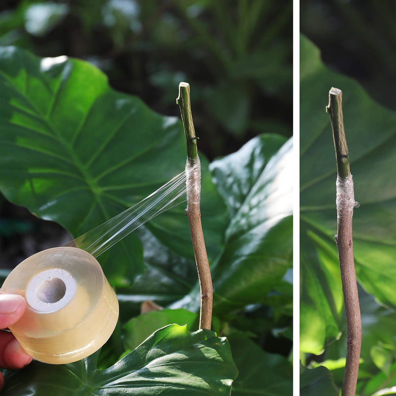 NAYE Grafting Tape for Fruit Trees,3 Pcs Stretchable Floristry Film,3 Color with Various Elasticity,Plants Repair Budding Tape - NewNest Australia