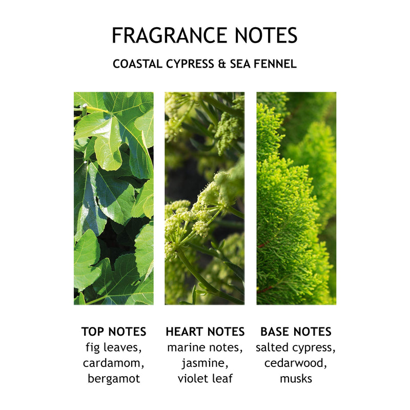 Molton Brown Coastal Cypress & Sea Fennel Fine Liquid Hand Lotion, 300 ml - NewNest Australia