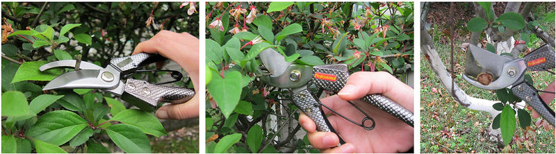 FITOOL Stainless Steel Professional Pruning Shears 8-Inch, Heavy Duty Secateurs Bypass Pruner with Safety Lock, Zinc Alloy Scaled Massage Handle, High Qaulity Hand Pruner - NewNest Australia