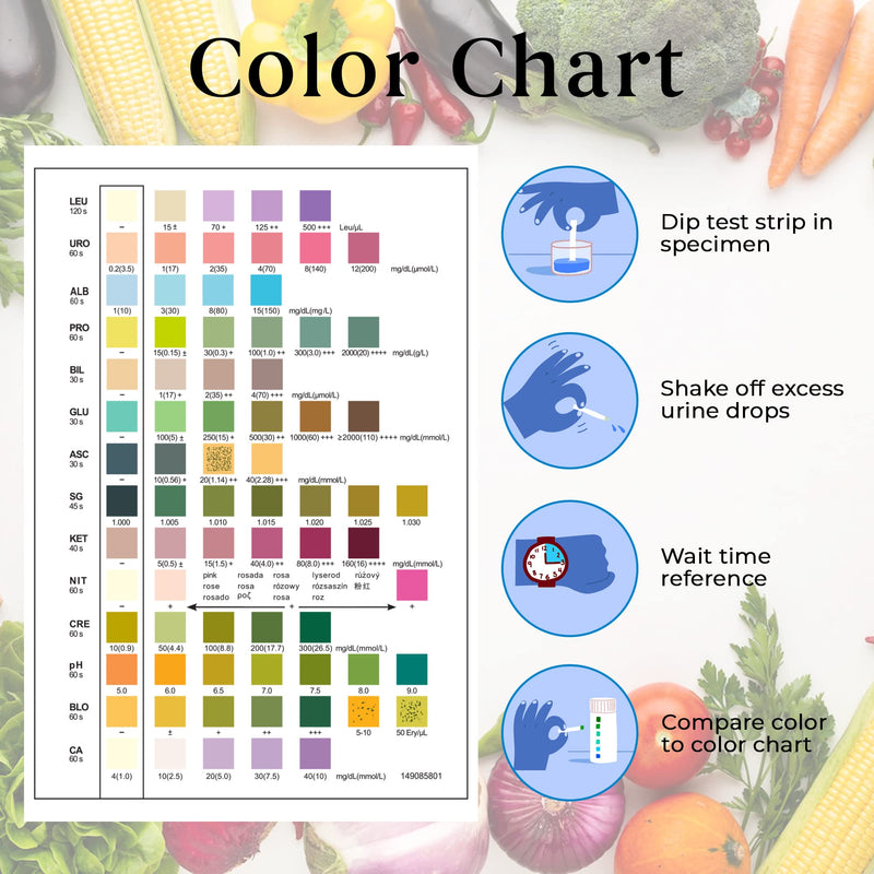 100 X Accudoctor Urine Test Strips 12 Indicators Ph Glucose Ketone Protein Diet Urine Tester Test Strips Urine Test Strips Health Test Urine Analysis Urine Analysis Strips Kit 100 Pieces - NewNest Australia